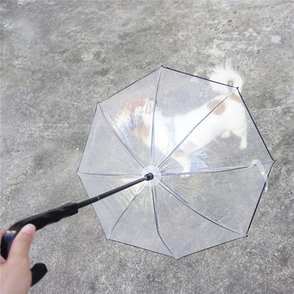 Parapluie transparent