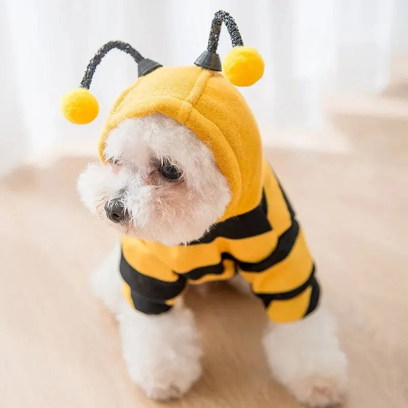 Sweat a capuche abeille