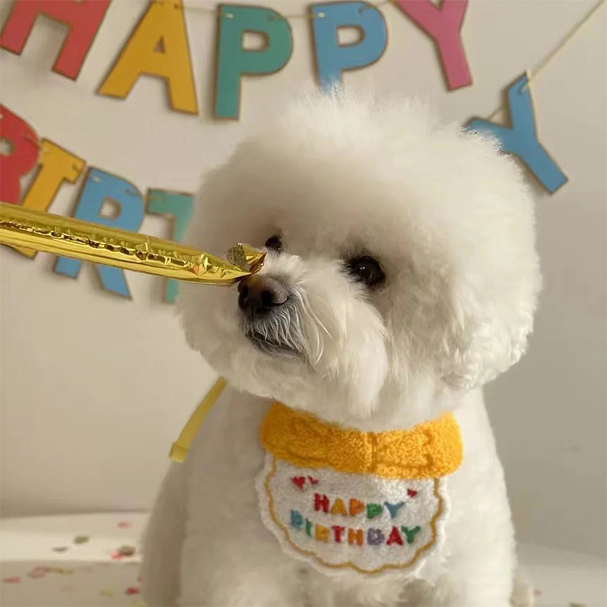 Ensemble chapeau et bandana anniversaire