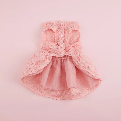 Robe de princesse