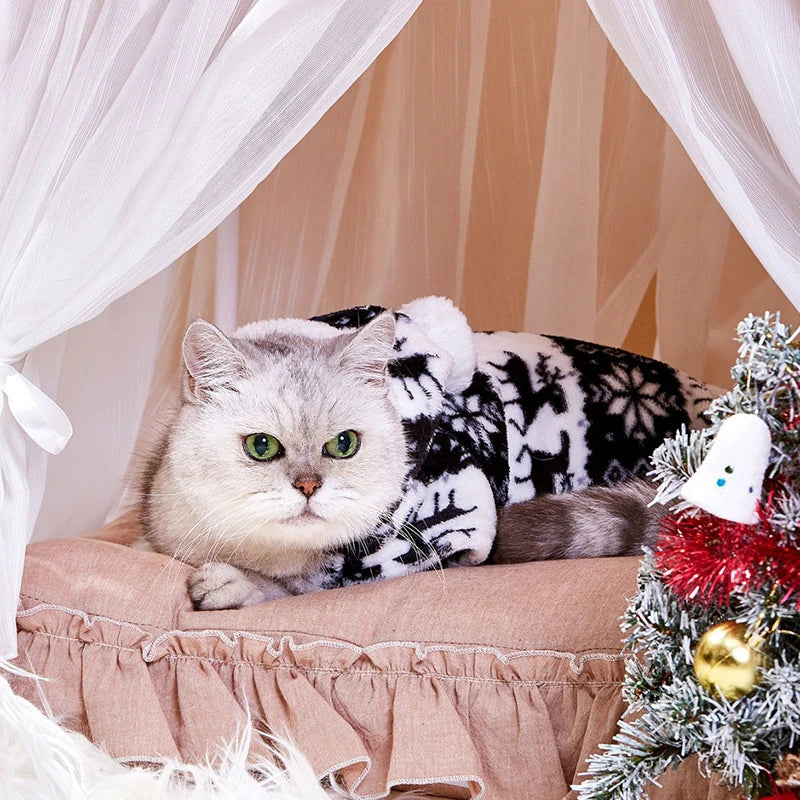 Pyjama de noël