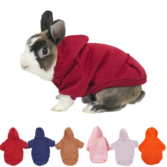 Pull pour lapin